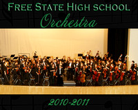 Orchestra 2010-2011